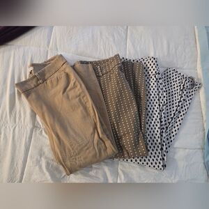 New York & Company Tan and Polka Dot Chinos